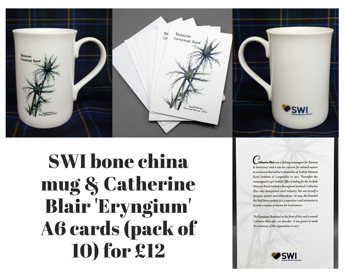 **MULTIBUY OFFER** SWI Bone China mug and Catherine Blair Eryngium greeting cards