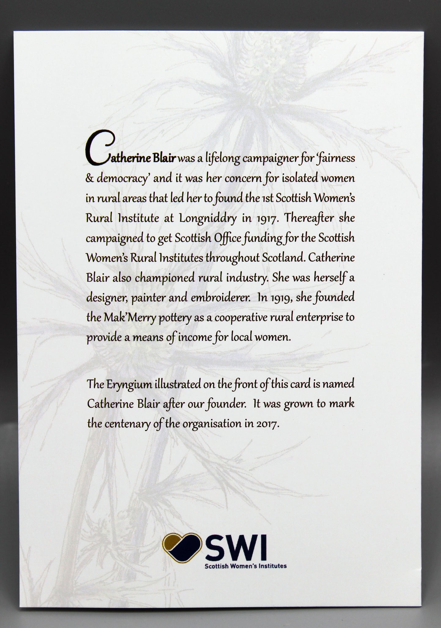 **MULTIBUY OFFER** SWI Bone China mug and Catherine Blair Eryngium greeting cards