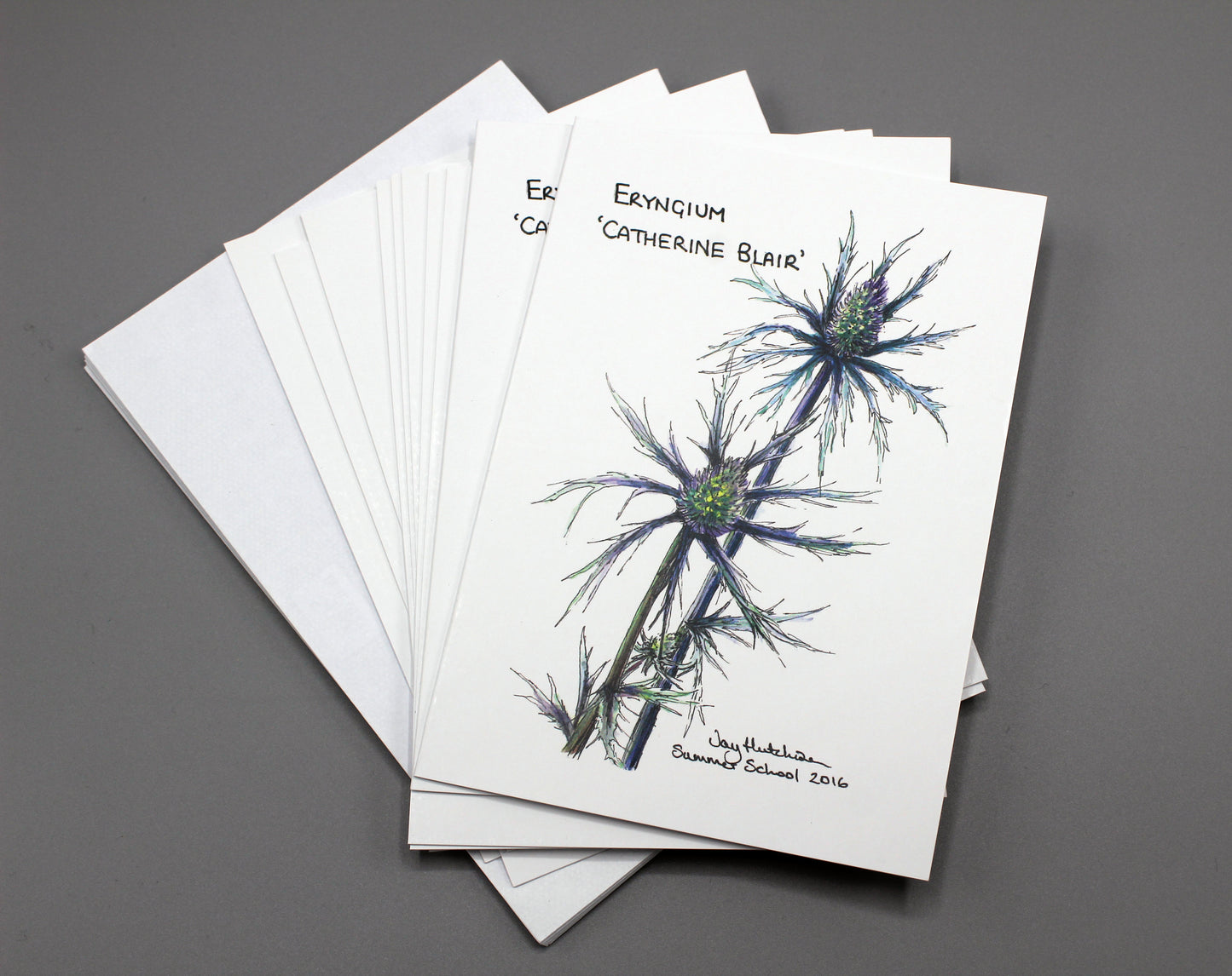 **MULTIBUY OFFER** SWI Bone China mug and Catherine Blair Eryngium greeting cards