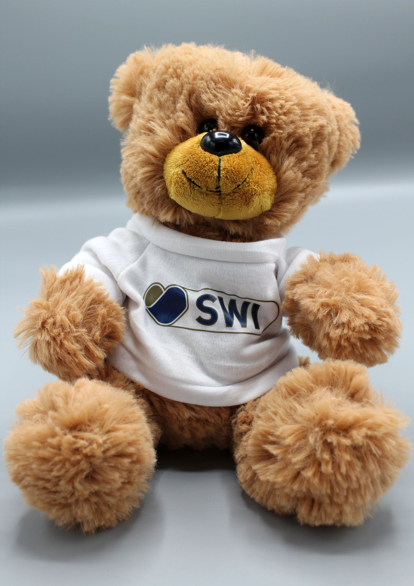 Wee Fergus the Bear