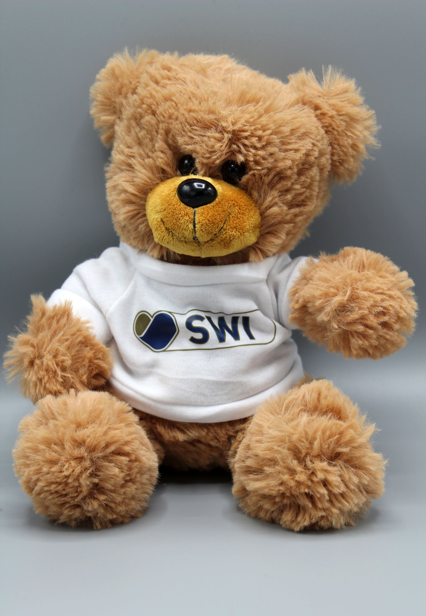 Wee Fergus the Bear