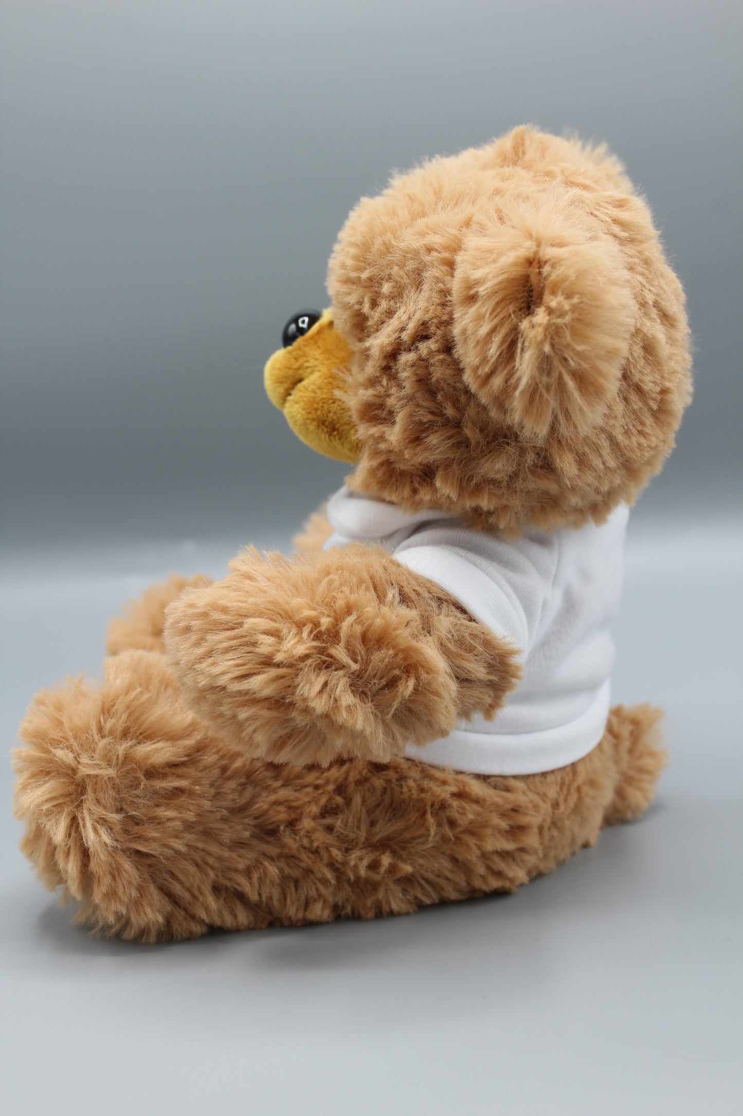 Wee Fergus the Bear