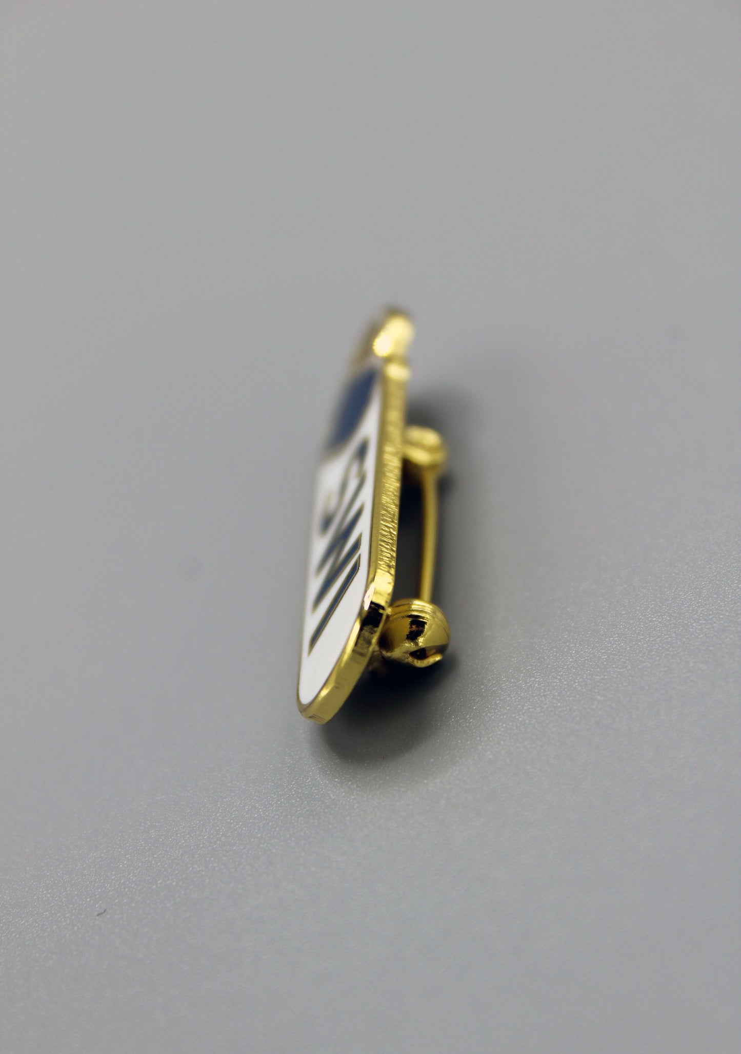 SWI Member's Badge